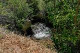 Tract 13 Luis O Torres Rd - Photo 4