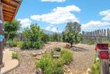 191 Lower Buena Vista Road - Photo 31