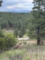 Lot 1292 San Mateo Drive - Photo 1