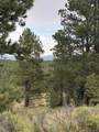 Lot 1292 San Mateo Drive - Photo 4