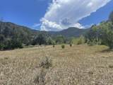 Tract B Witt Road - Photo 2