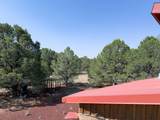  Comanche Trail - Photo 11
