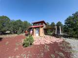  Comanche Trail - Photo 3