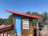  Comanche Trail - Photo 7
