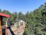  Comanche Trail - Photo 8
