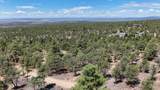 Tract B across 265 Gallina Canyon Rd - Photo 11