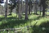 lot 83 Elk Horn - Photo 7