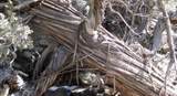  Matisse Road - Photo 9