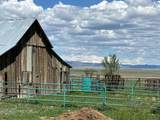 2350 State Highway 21 - Photo 10