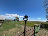 2350 State Highway 21 - Photo 12