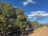  Off Hondo Seco Road - Photo 6