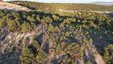Unk Sandia Canyon Rd - Photo 10