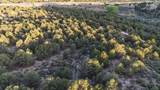 Unk Sandia Canyon Rd - Photo 9
