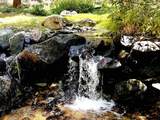 182 El Salto Rd - Photo 6