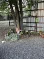 341 9th Street - Photo 21