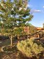 22 Del Norte - Photo 22