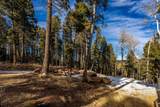 332 Back Basin Rd - Photo 49