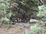 Tract B across 265 Gallina Canyon Rd - Photo 8