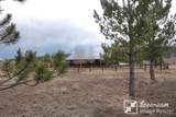 16420 Us Highway 84  64 - Photo 28
