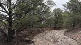 2 Sandia Canyon Rd - Photo 21