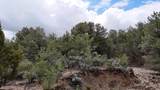 2 Sandia Canyon Rd - Photo 22