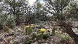 2 Sandia Canyon Rd - Photo 38