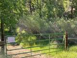 131 Forest Road 76 - Photo 11