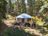 131 Forest Road 76 - Photo 47