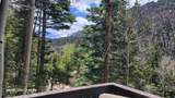 15 Coyote Lane - Photo 35