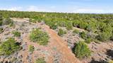  Tatanka Trail 4 Acres - Photo 22