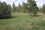 62 Cerro Verde - Photo 11