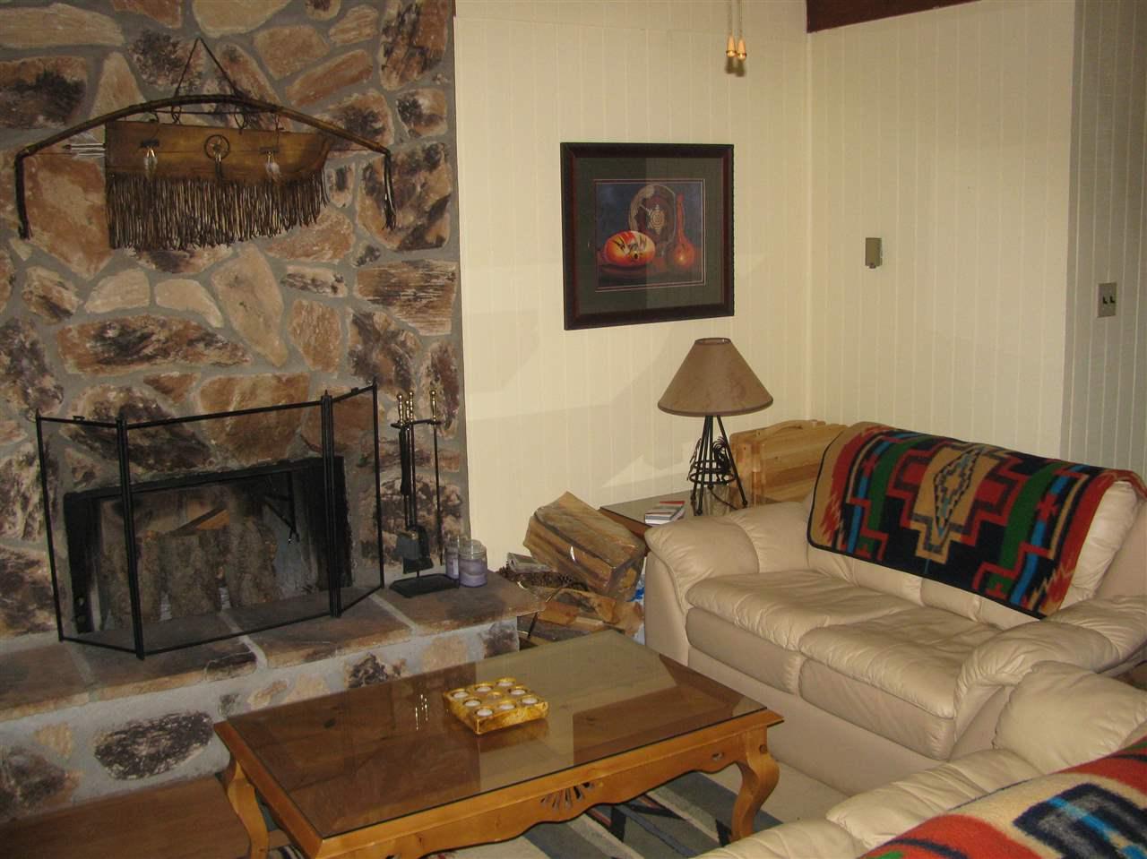 64 Mammoth Mountain Road - Photo 1