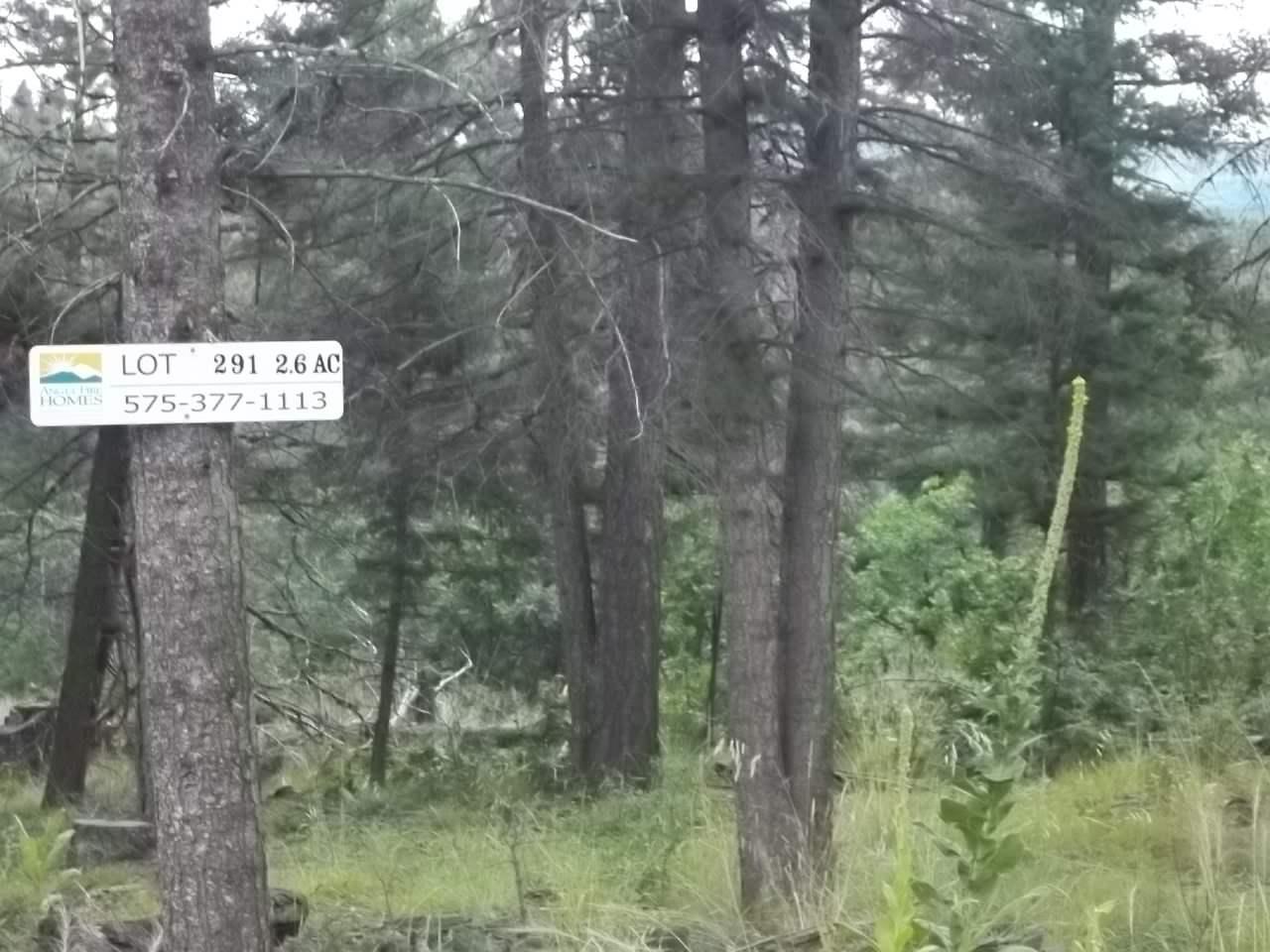 291 Vail Loop Overlook - Photo 1