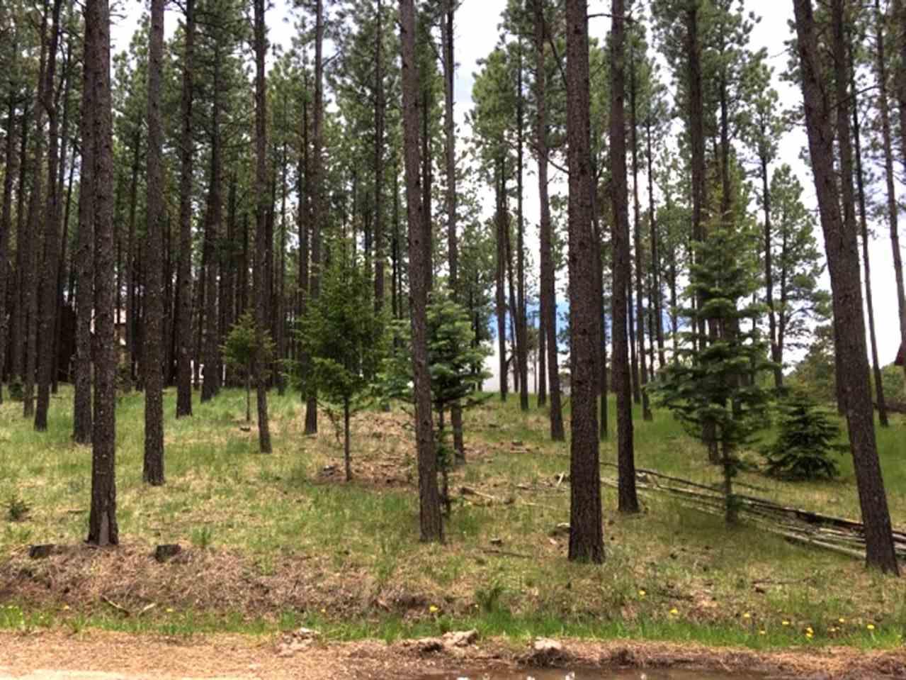 Lot 578 Saints Terrace - Photo 1