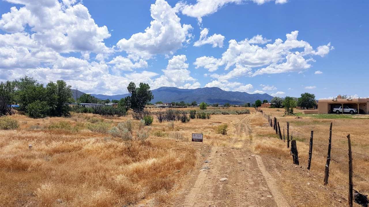 tbd Dona Ana Drive - Photo 1