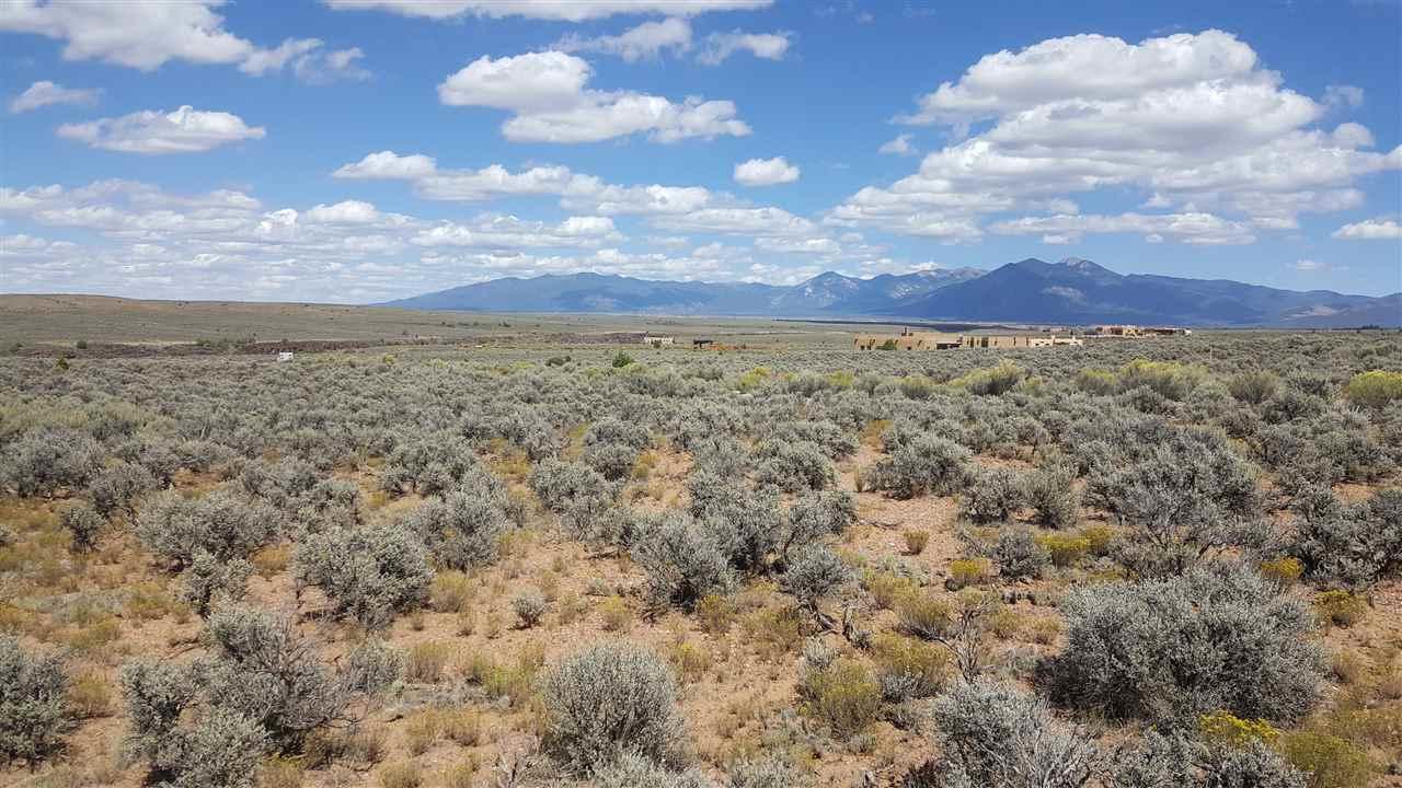 Lot 14B County Rd. 110 - Photo 1