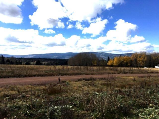 Lot 1517 Vista Del Sur - Photo 1