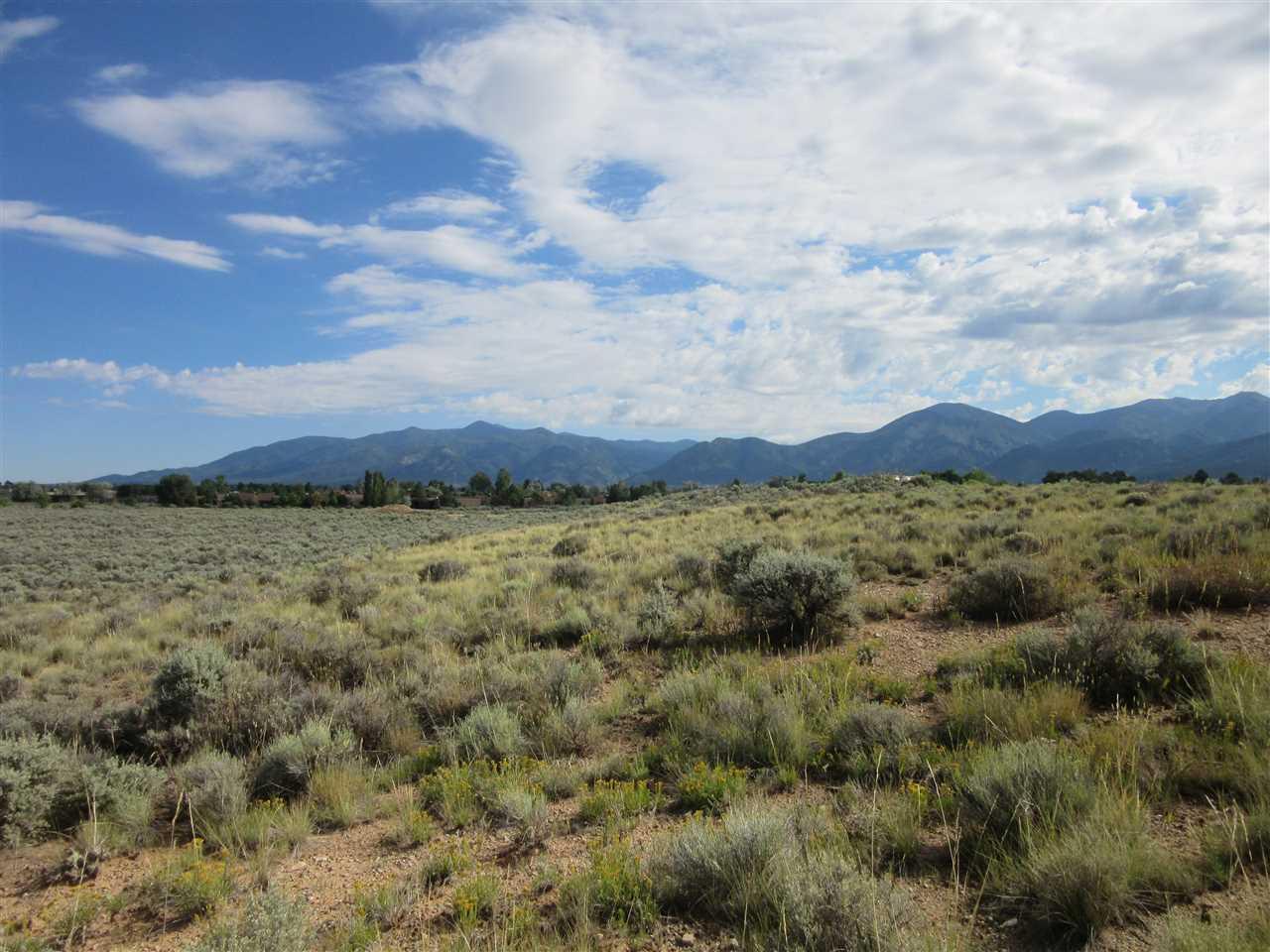 Lot 11 12 13 Comanche Road - Photo 1