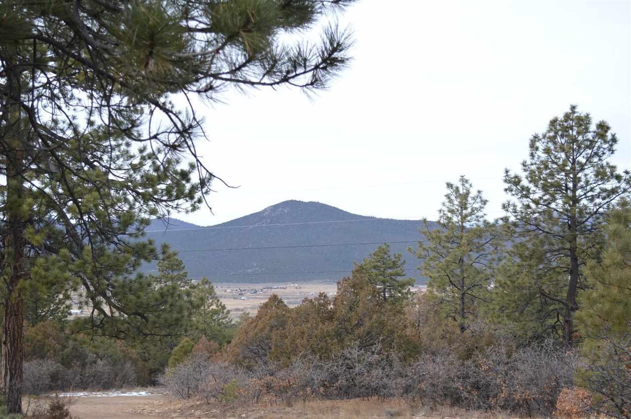 Echo Forest Rd - Photo 1