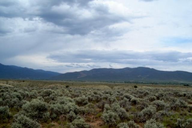 Hwy 110 Past Taos Country Club - Photo 1