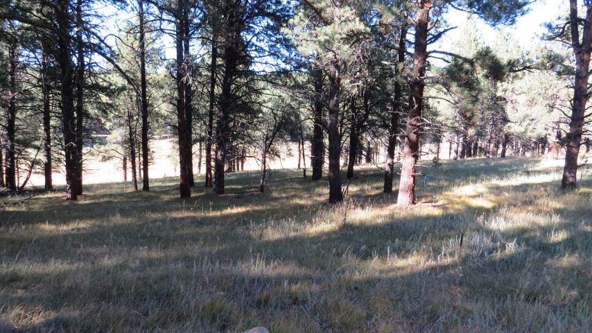 Lot 1319 Brazos Drive - Photo 1