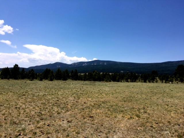 Lot 2 County Road B-1 - Photo 1