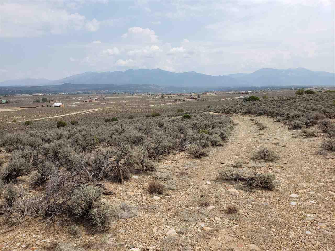 Lot 12 Coyote Loop - Photo 1