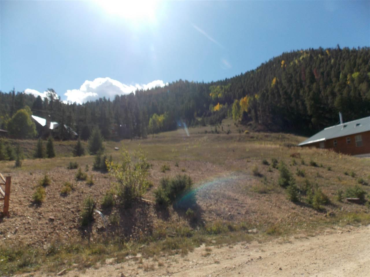 Lot 25 Powderpuff Trail - Photo 1