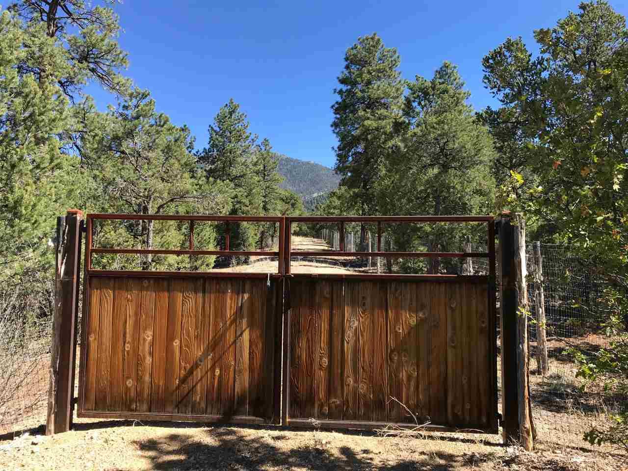 Lot 16 Deer Mesa Road - Photo 1