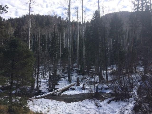 Lot 1 Blk 2 Hwy 150 - Photo 1