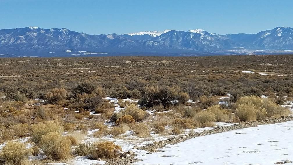 7 Coyote Moon - Photo 1