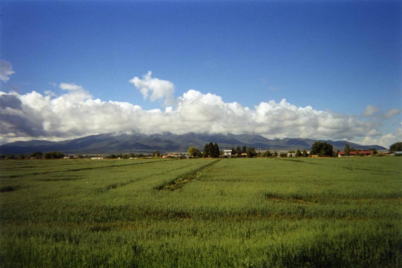 TBD Chamisa Rd - Photo 1