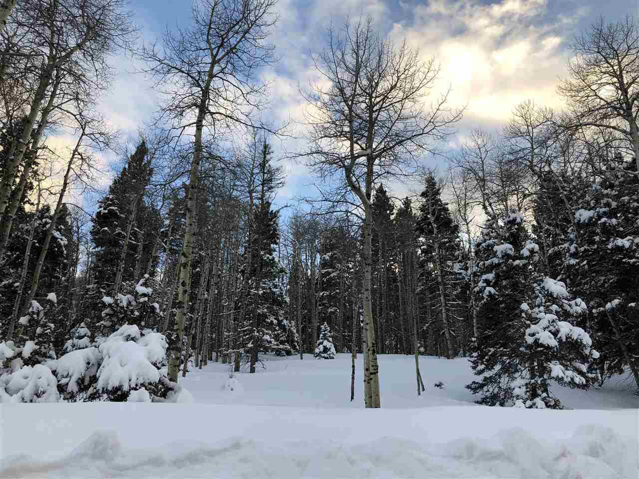 Lot 55 Via De Maria - Photo 1