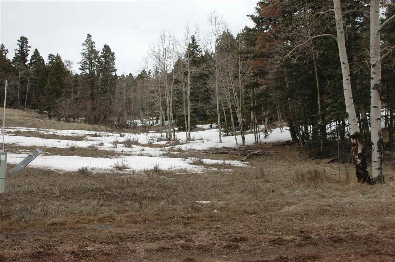 lot 1024 Startlight Ovl - Photo 1